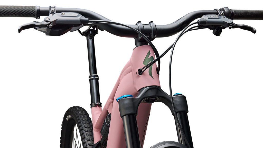 Specialized Levo Comp Alloy G4 Nb Dusky Pink / Cypress Metallic