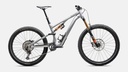 Specialized Stumpjumper 15 Fox Coil Alloy